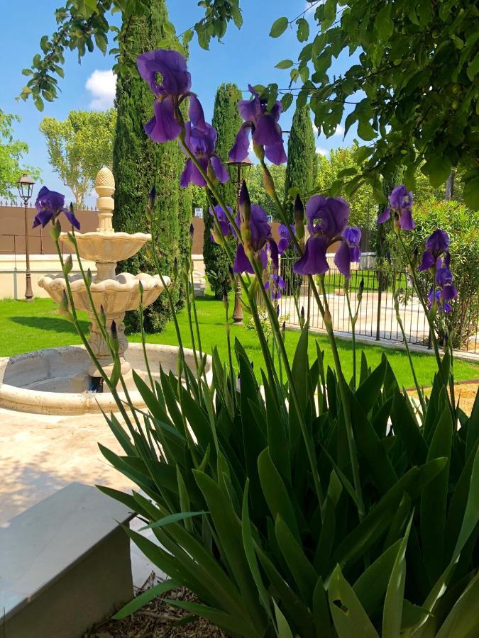 Villa Agrippa Оранж Экстерьер фото